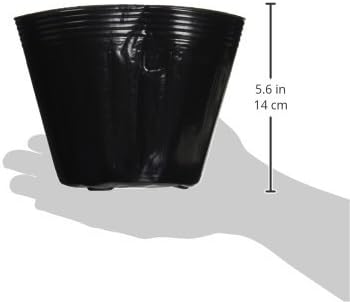 Amazon Co Jp 渡辺泰 苗ポット 10個入 15 0cm Diy 工具 ガーデン