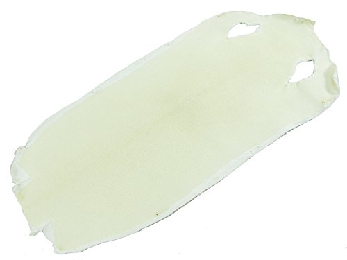 PELGIO Genuine Stingray Shagreen Skin Leather Hide Pelt White Crust (7