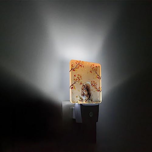 Image of Night Light Plug in LED Night Lamp Automatic Sensor Kids Night Lights Plug into Wall, Thanksgiving Fall Autumn Squirrel Maple Leaves Fall Square Night-Lights for Bedroom Bathroom Kitchen Hallway Decor
