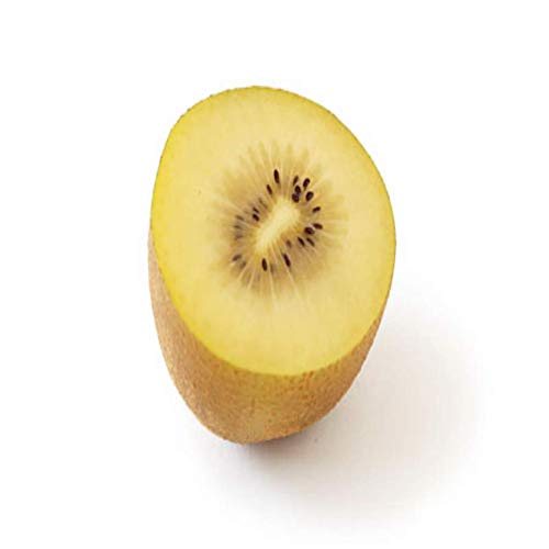 j[W[hY@[Xv@TS[hLECt[c@3kg