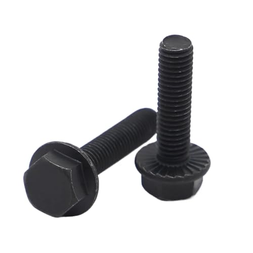 M5 M6 ubN 10.9 x J[{| ZptW{g t~߃lW 5(30mm,M6 5pcs)