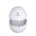 EJXBF Umidificatore Umidificatore Uovo 100Ml Per Home Office Car Olio Solubile In Olio Diffusore Di Aromi Con Lampada Da Notte Umidificatore Ad Ultrasuoni, Bianco