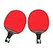 Racchetta da ping pong, ottima racchetta da ping pong con alta velocità, controllo ed effetti, mazza da ping pong robusta e anti-shock con comoda impugnatura in gomma per principianti, giocatori inter