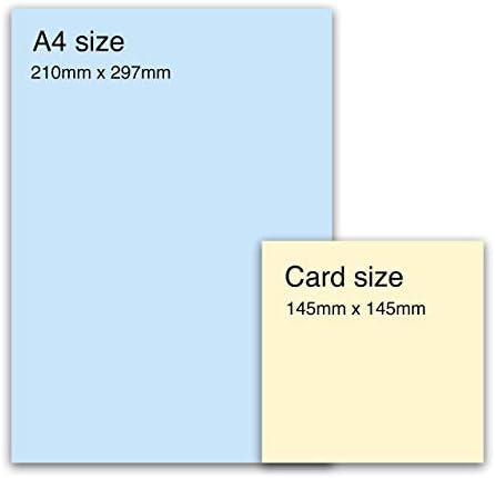 Central 23 - Sweet Birthday Card for Her - 'To My Favourite Cousin' - Fun Cousin Birthday Card - Cute Birthday Card for Him - Pretty Birthday Cards for Her - Comes with Fun Stickers