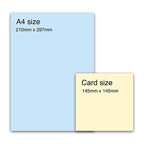 Central 23 - Sweet Birthday Card For Her - 'To My Favourite Cousin' - Fun Cousin Birthday Card - Cute Birthday Card For Him - Pretty Birthday Cards For Her - Comes With Fun Stickers #TOP4