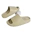 بيج داكن