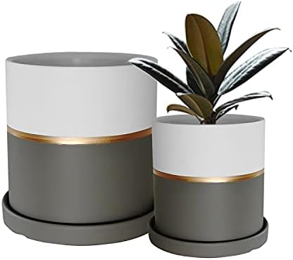 urohsew Round Ceramic Planter Flower Plant Pot - 5.5 Inch with Drainage Hole Saucer,2 Pack Indoor Planters,Matte White with Gold and Grey Detailing