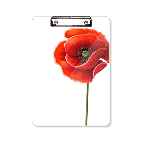 Support plaque A4 Art Peinture Coquelicot aux finitions soignées