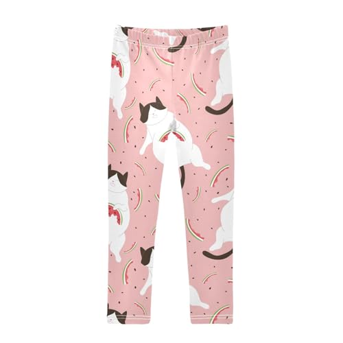 Cat Watermelon Girls Leggings,Workout Leggings for Girls Toddler Athletic Legging Size for 3-10T