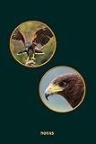 Notas: Abejorro del desierto, Harris Hawk. En formato A5, 120 páginas, finas líneas grises claras, cubierta mate, fácil de seguir. Perfecto como ... halconeros, diario, notas para ornitólogos.