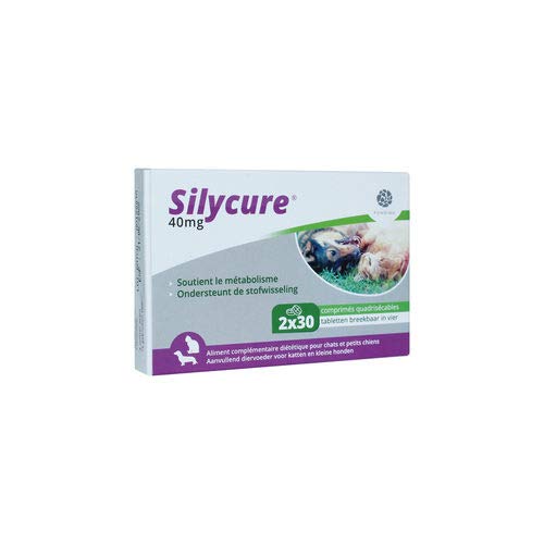 Fendigo Silycure 40 mg - 60 Tabletten