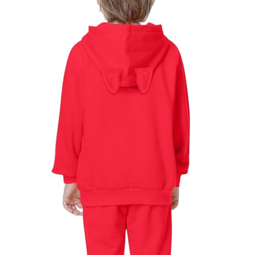 Hoodies for Teen Girls Cute Trendy Long Sleeve Oversized Hooded Sweatshirts Kids Girl Gradient Color Preppy Clothes3