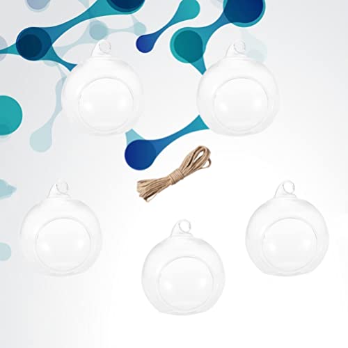 Plantas penduradas globos de terrário de vidro: 5 peças de vasos de vidro suportes de vela para vaso