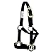 Mustang Pony Traditional Nylon Halter Black