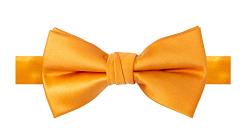 Spring Notion Boys' Solid Color Microfiber Pre-Tied Bow Tie2