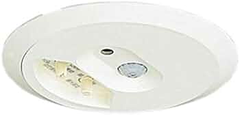 31OGXD-RnxL._AC_UF350,