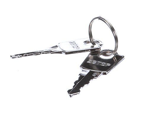 Keys (Pair) for Msr/F, Gst, Ts