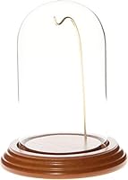 Algopix Similar Product 20 - Plymor 3 x 5 WatchOrnament Glass