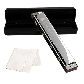Silver – 24 Holes Tremolo Harmonica Polyphony Diatonic C Key 24 Hole Profession Tremolo Harmonica Beginners Students Aldults with Storage Box Cleaning Cloth - Les Beatles, Paul McCartney, John Lennon, RIngo Starr, George Harrison