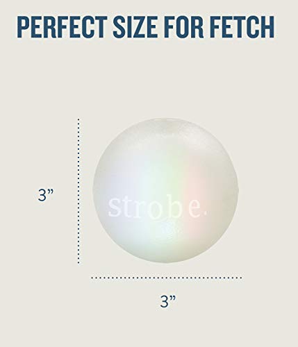 Planet Dog Orbee-Tuff Strobe Ball Glow-In-The-Dark Light Up Led Dog Toy #TOP7