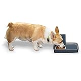 PetSafe Digital 2 Meal Pet Feeder, Programmable Automatic Cat and Dog Food Dispenser, Tamper-Resistant, Portion Control, Dry or Semi-Moist Food or Treats, 1.5 Cups per Tray, 3 Cups Total Capacity