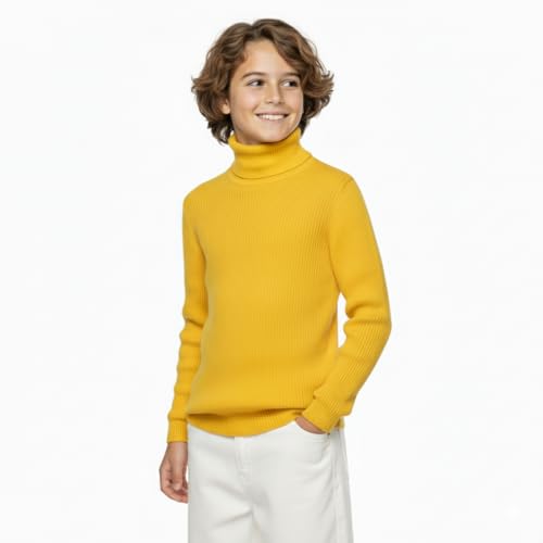 Image of high Neck Sweater for Boys