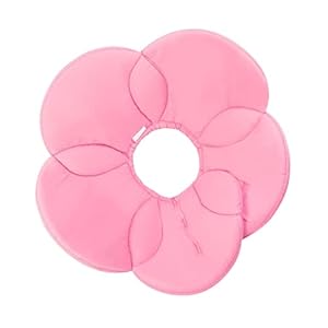 TOYANDONA Blumen Halskrause für Hunde