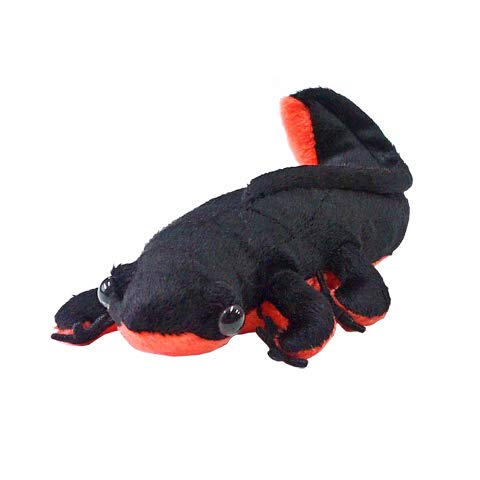 Amazon.co.jp: TST ADVANCE アカハライモリ ぬいぐるみ BLACK サイズ