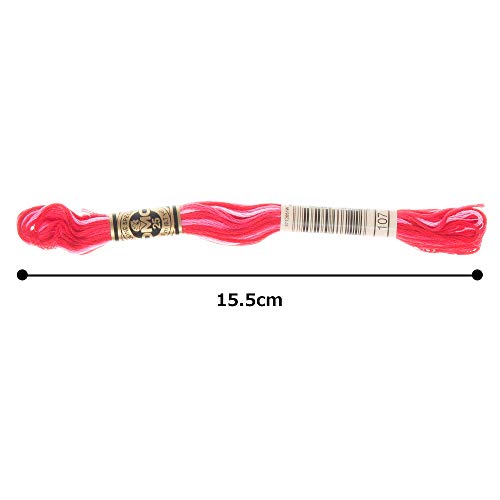 Image of DMC 6-Strand Embroidery Cotton Floss, Variegated Carnation
