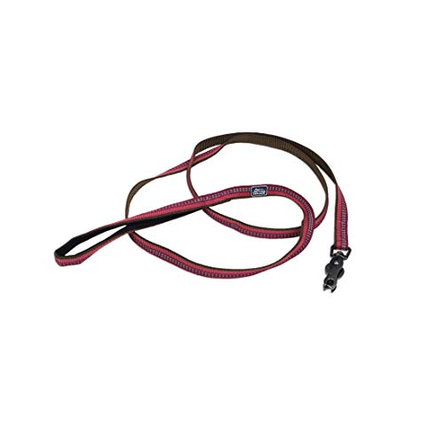 Coastal Pet K9 Explorer Reflective Dog Leash with Scissor Snap - Durable Nylon Dog Leash - Leashes for Dogs & Puppies Pet Supplies for Dogs - Berry, 5/8