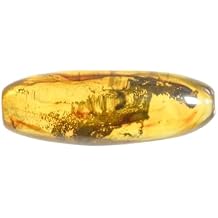 Baltic Amber Fossil with Moss Insect Natural stone - 5g