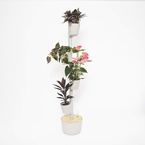 Lo mejor en urnas para plantas según 13 expertos en 2021 - Epoca