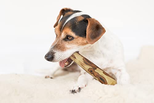 ARTISAN GIFT CO Olivenholz Kauspielzeug für Hunde 100% Natürliches (M-15 cm) 1 Stück