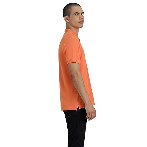 Camisas, Tools Imagen adicional