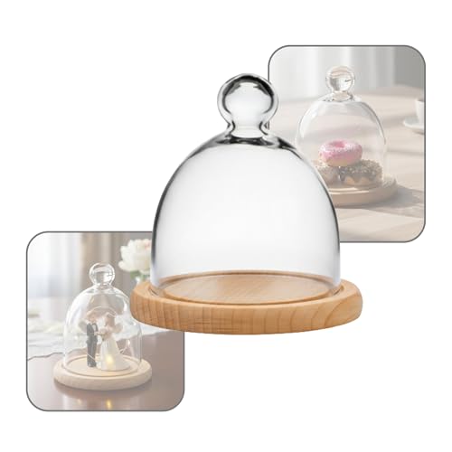 Redoma Cúpula Vidro C/pegador Decoração C/base Madeira 13cm