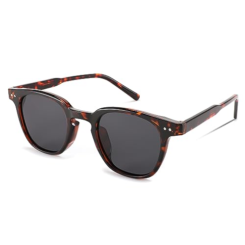 FEISEDY Classic Polarized Sunglasses Retro Round Sunglasses for Women Men Trendy Shades B00022