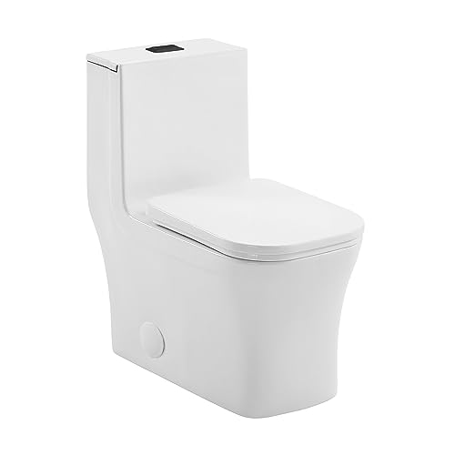 Image of Concorde One Piece Square Toilet Dual Flush, Black Hardware 1.1 /1.6 gpf