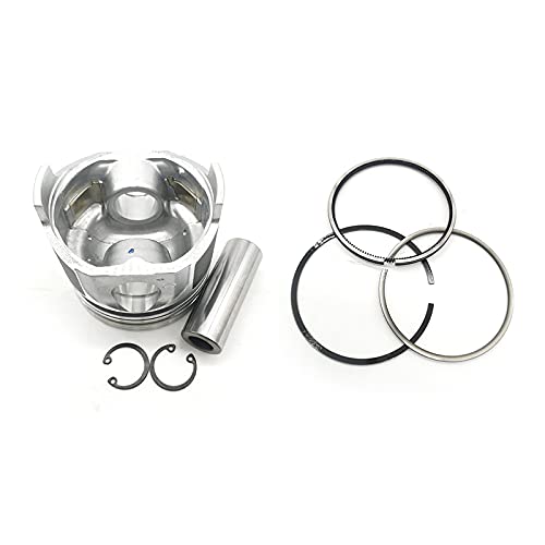 Amazon.com: 4955365 4376347 4955520 1 Set Piston Kit for 07-19  