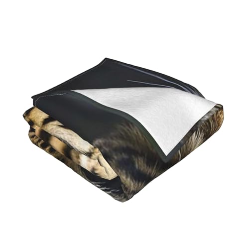 Plaid léopard douillet pour vos soirées cinéma cocooning sur le canapé - 5
