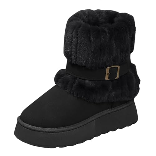  t@[Jo[ V[g [gu[c fB[X {A V[gu[c 傫TCY g h E֗ ʋ ʊw AEghA(ubN,23.5 cm)