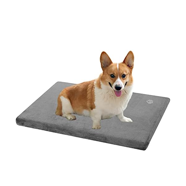 Stylish Dog Bed Mat