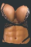 Fake Abs Bikini Body Muscle Six Pack Fake Big Boobs: Notebook Journal lined 6X9 inch 110p
