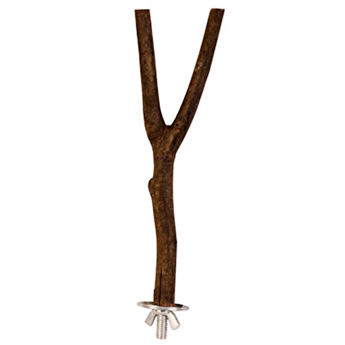 Pet Ting Ting en Bois Naturel Y Perchoir pour canari Finch Perruche calopsitte élégante Perroquet  30 cm
