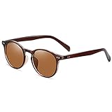 Polarized Sunglasses for Women Men Retro Round Sun Glasses 100% UV Blocking(Tea Frames/Tea Lens)