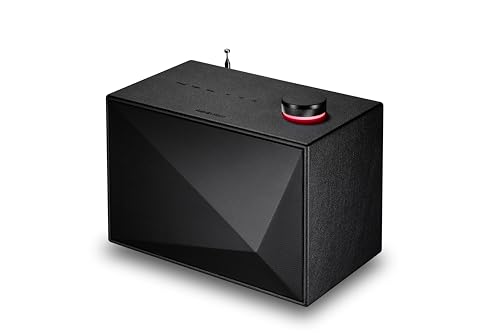 Astell & Kern Acro BE100 Haut-Parleur...