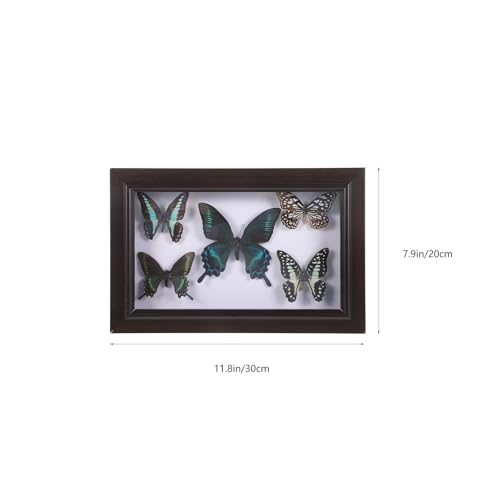 Mariposa decorativa en marco de madera ideal para regalar 2