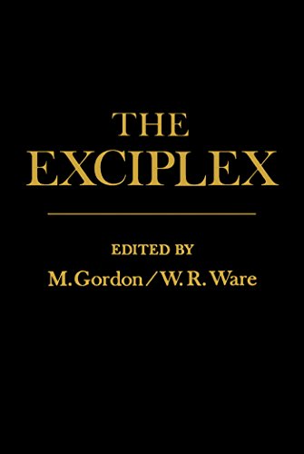 The Exciplex (English Edition)
