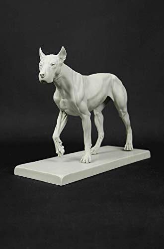Image of 3dtotal Anatomy: Canine Figure