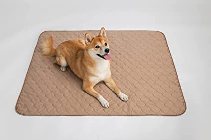 Image of EZwhelp Reusable Dog Pee Pad, Waterproof Mat for Dogs and Puppies, 41 inchx41 inch w / Grommets