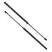 2 Pcs Rear Liftgate Lift Supports Struts Shocks Fits 00-04 Chevrolet Suburban 1500/2500,99-04 Cadillac Escalade,99-04 GMC Yukon,95-04 Chevrolet Tahoe 4557